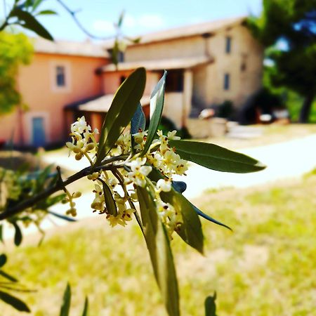 Tenuta San Felice Giano dellʼUmbria Kültér fotó