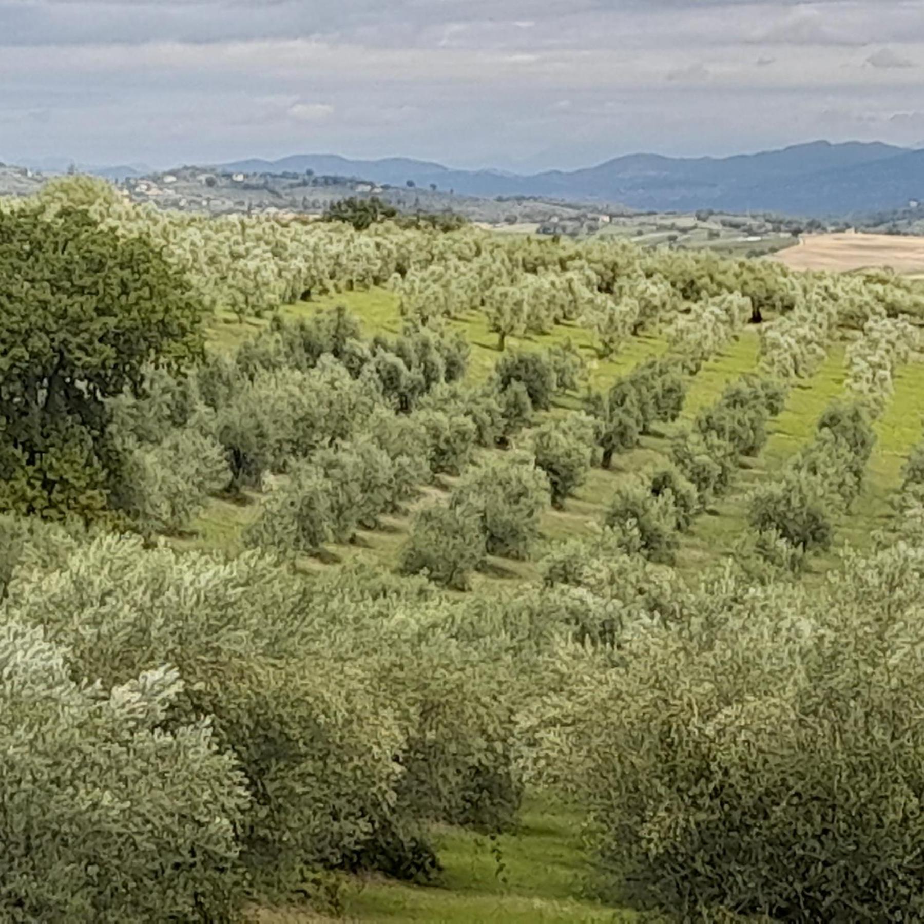 Tenuta San Felice Giano dellʼUmbria Kültér fotó