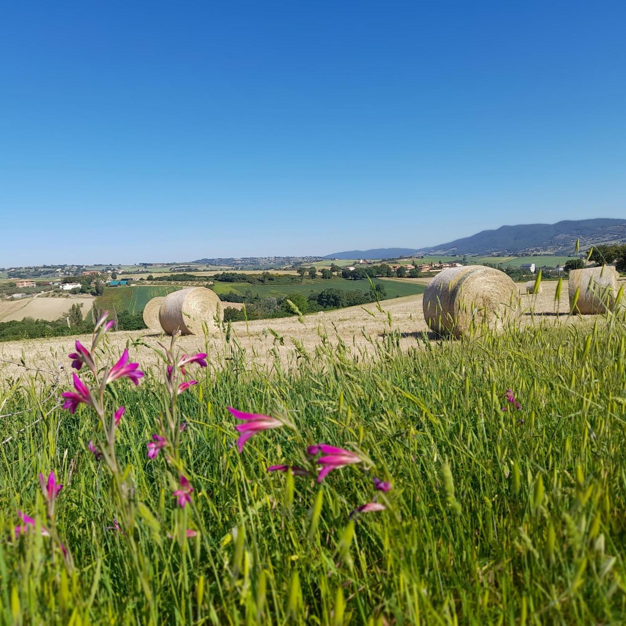 Tenuta San Felice Giano dellʼUmbria Kültér fotó