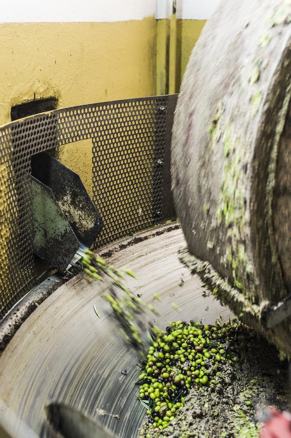 Tenuta San Felice Giano dellʼUmbria Kültér fotó