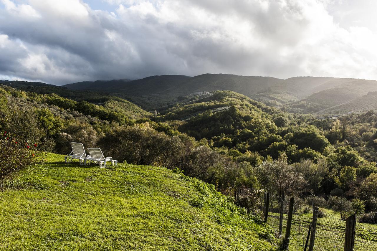 Tenuta San Felice Giano dellʼUmbria Kültér fotó