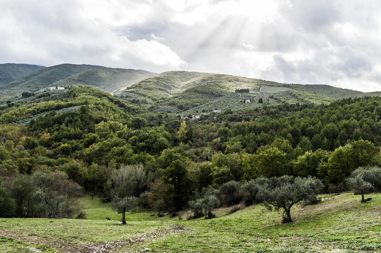 Tenuta San Felice Giano dellʼUmbria Kültér fotó